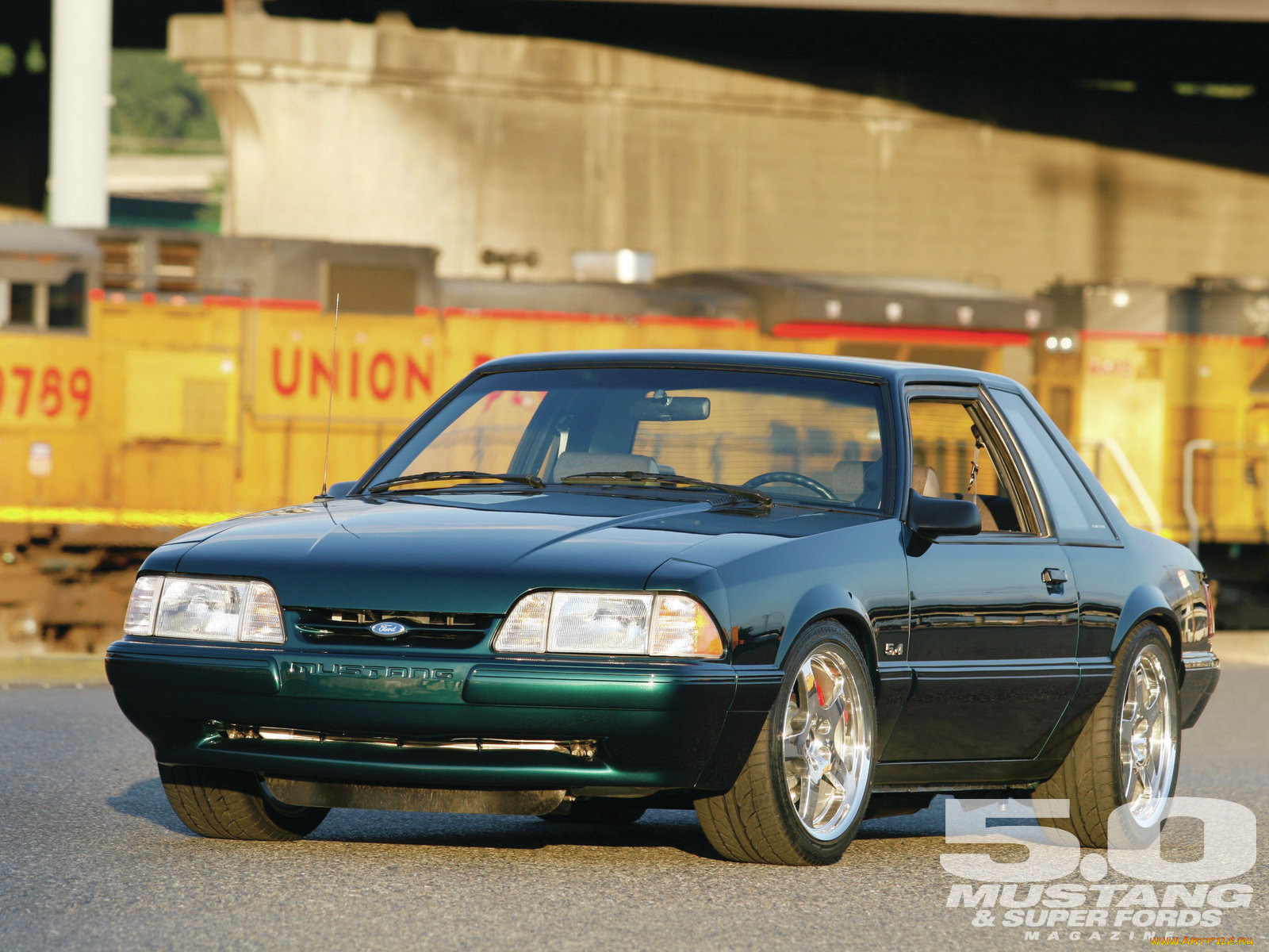 , mustang